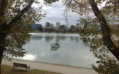 The art of nursing and midwifery is based on a wholesome presence and steadiness… how do we maintain this when life spins ever more frantically? 
